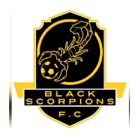 Black Scorpions