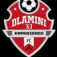 Dlamini XI Expierence