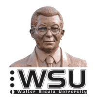 WSU FC